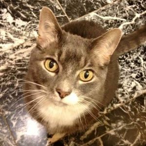 Meet your Posher, Brenda